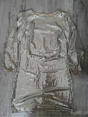 Alexa B Silver Sequin Long-Sleeve Shift Dress